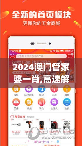 2024澳门管家婆一肖,高速解析方案响应_GT8.115