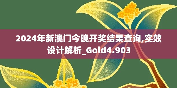 2024年新澳门今晚开奖结果查询,实效设计解析_Gold4.903
