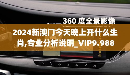 2024新澳门今天晚上开什么生肖,专业分析说明_VIP9.988