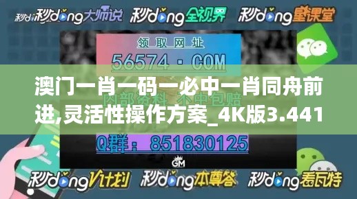 澳门一肖一码一必中一肖同舟前进,灵活性操作方案_4K版3.441