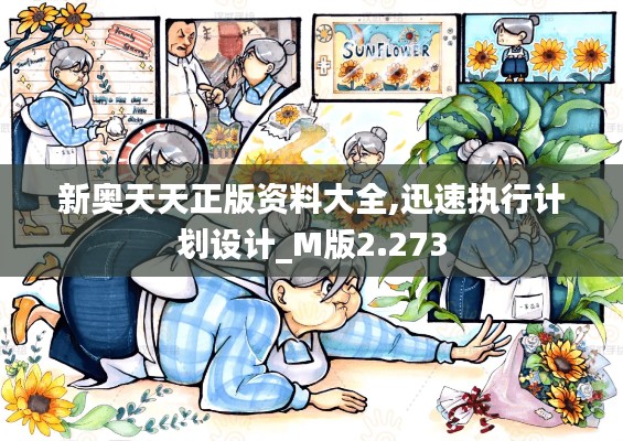 新奥天天正版资料大全,迅速执行计划设计_M版2.273