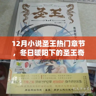 冬日暖阳下的奇缘，圣王热门章节与温情日常
