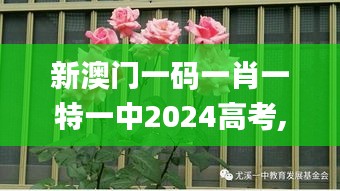 新澳门一码一肖一特一中2024高考,动态解析词汇_特供版1.845