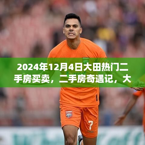 大田热门二手房奇遇记，温馨购房之旅在等你（2024年）