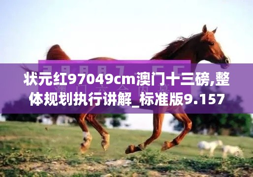 状元红97049cm澳门十三磅,整体规划执行讲解_标准版9.157