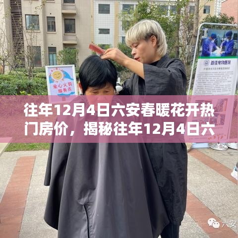 揭秘往年12月4日六安春暖花开的热门房价走势及趋势分析