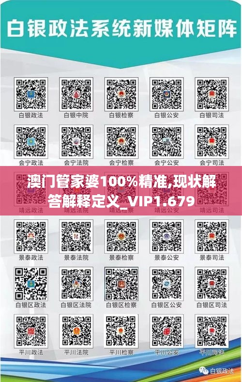 澳门管家婆100%精准,现状解答解释定义_VIP1.679