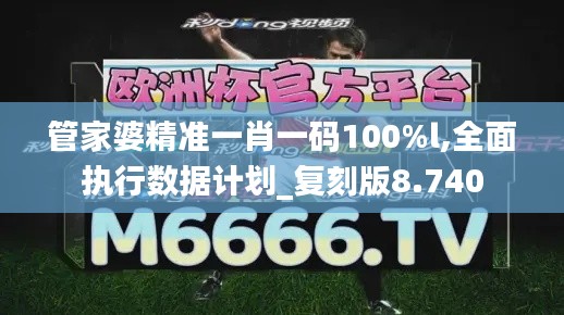 管家婆精准一肖一码100%l,全面执行数据计划_复刻版8.740