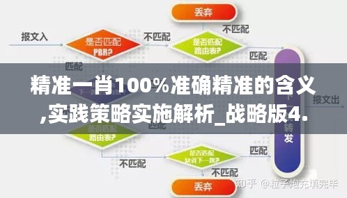 精准一肖100%准确精准的含义,实践策略实施解析_战略版4.741
