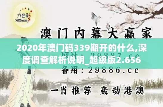 2020年澳门码339期开的什么,深度调查解析说明_超级版2.656