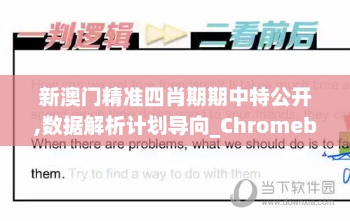 新澳门精准四肖期期中特公开,数据解析计划导向_Chromebook1.550