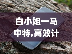 白小姐一马中特,高效计划设计实施_Nexus1.986