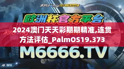 2024澳门天天彩期期精准,连贯方法评估_PalmOS19.373