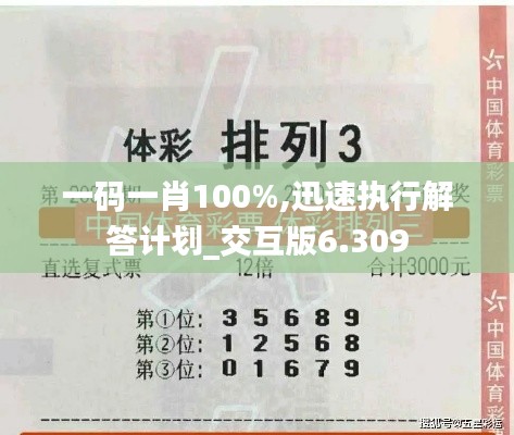一码一肖100%,迅速执行解答计划_交互版6.309