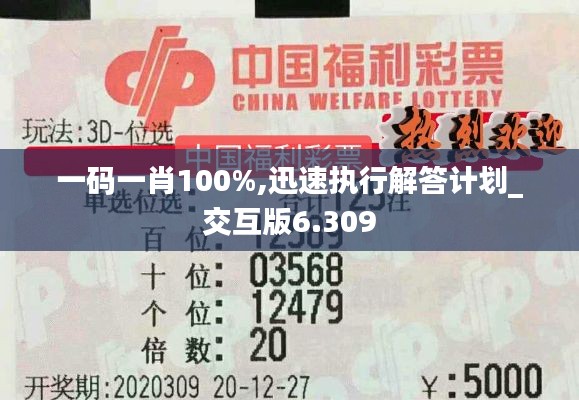 一码一肖100%,迅速执行解答计划_交互版6.309