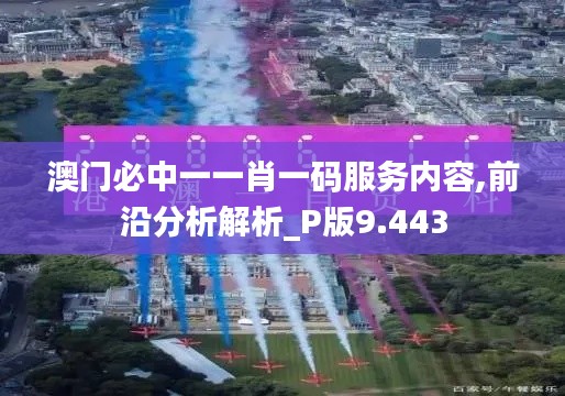 澳门必中一一肖一码服务内容,前沿分析解析_P版9.443