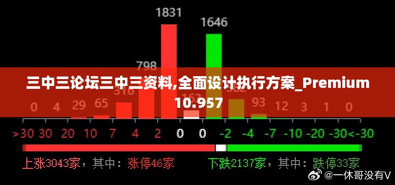 三中三论坛三中三资料,全面设计执行方案_Premium10.957