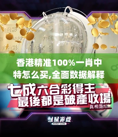 香港精准100%一肖中特怎么买,全面数据解释定义_精英版3.165