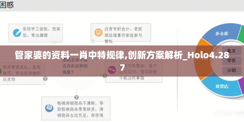 管家婆的资料一肖中特规律,创新方案解析_Holo4.287