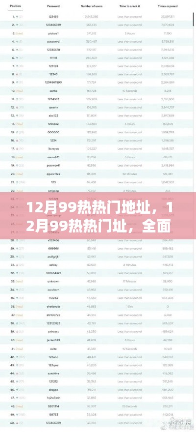 全面评测与介绍，揭秘十二月最热热门址