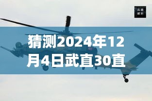 武直30直升机最新消息揭秘，温馨日常背后的科技传奇进展猜测与故事