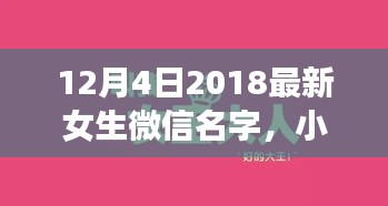 12月4日2018最新女生微信名字，小红书精选2018年尾时尚女生微信名字大公开——12月4日最新潮流命名指南