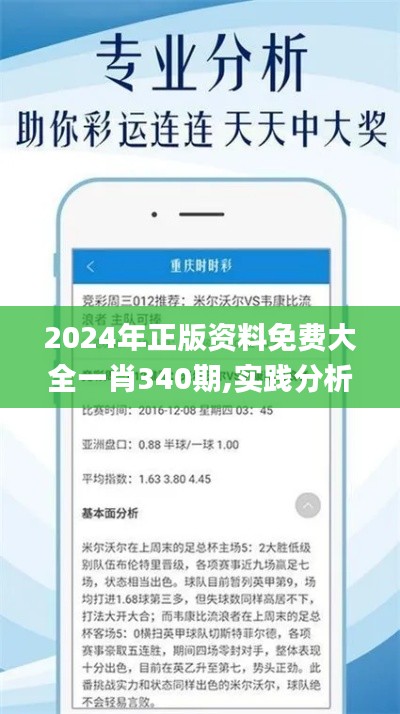 2024年正版资料免费大全一肖340期,实践分析解释定义_微型版3.545