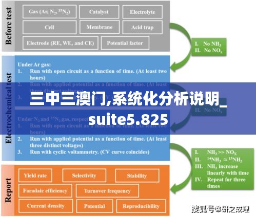 三中三澳门,系统化分析说明_suite5.825