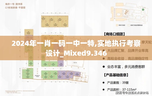 2024年一肖一码一中一特,实地执行考察设计_Mixed9.346