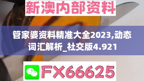 管家婆资料精准大全2023,动态词汇解析_社交版4.921