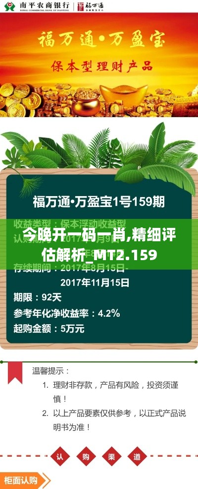 今晚开一码一肖,精细评估解析_MT2.159