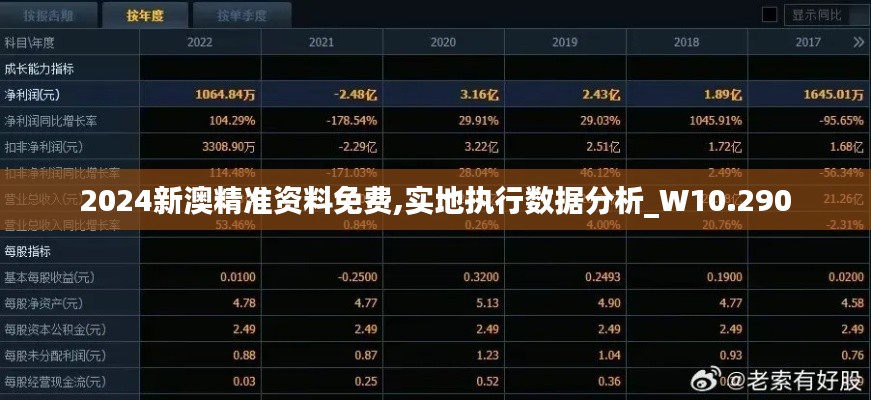 2024新澳精准资料免费,实地执行数据分析_W10.290