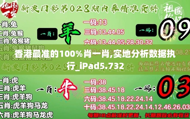 香港最准的100%肖一肖,实地分析数据执行_iPad5.732