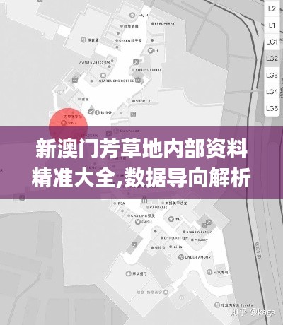 新澳门芳草地内部资料精准大全,数据导向解析计划_WearOS10.527