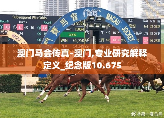 澳门马会传真-澳门,专业研究解释定义_纪念版10.675