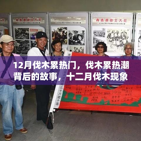 深度剖析，伐木累热潮背后的故事与十二月伐木现象揭秘