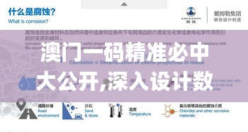澳门一码精准必中大公开,深入设计数据解析_钱包版2.175