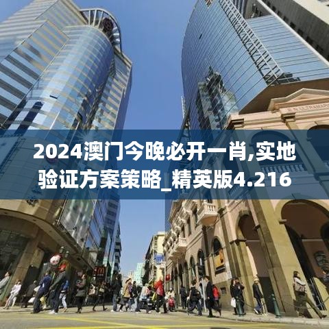 2024澳门今晚必开一肖,实地验证方案策略_精英版4.216
