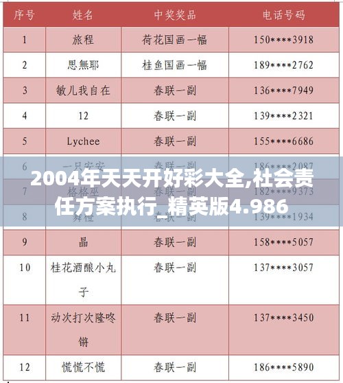 2004年天天开好彩大全,社会责任方案执行_精英版4.986