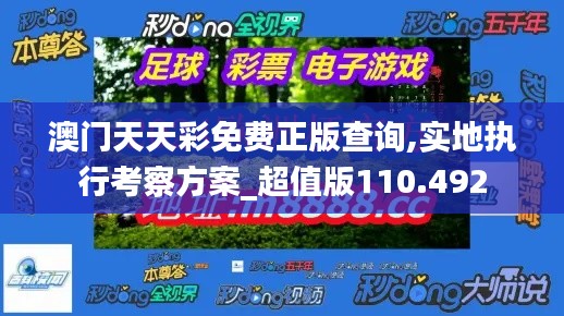 澳门天天彩免费正版查询,实地执行考察方案_超值版110.492