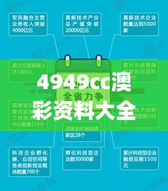 4949cc澳彩资料大全正版,创新解读执行策略_豪华版7.951