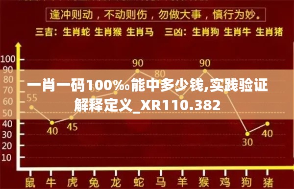 一肖一码100‰能中多少钱,实践验证解释定义_XR110.382