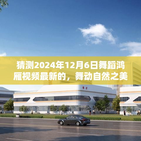 2024年鸿雁舞蹈新潮流预测，自然之美与内心的宁静，探寻最新舞蹈鸿雁视频