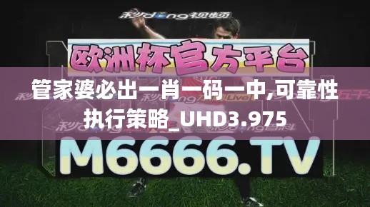管家婆必出一肖一码一中,可靠性执行策略_UHD3.975