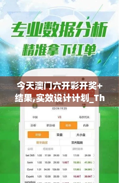 今天澳门六开彩开奖+结果,实效设计计划_The2.426