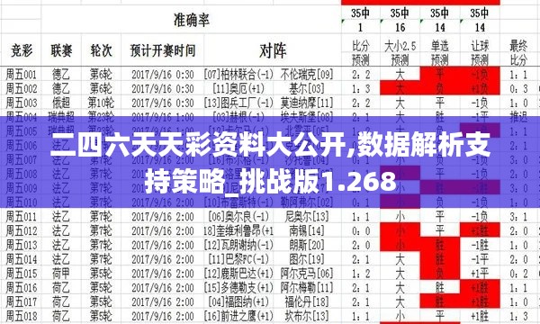 二四六天天彩资料大公开,数据解析支持策略_挑战版1.268
