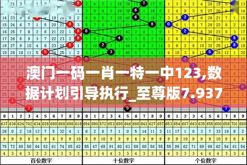 澳门一码一肖一特一中123,数据计划引导执行_至尊版7.937