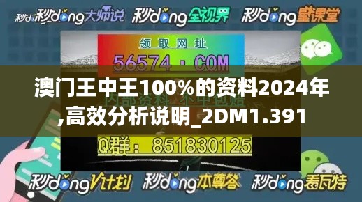 澳门王中王100%的资料2024年,高效分析说明_2DM1.391