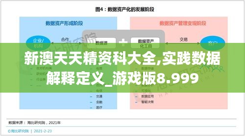 新澳天天精资科大全,实践数据解释定义_游戏版8.999
