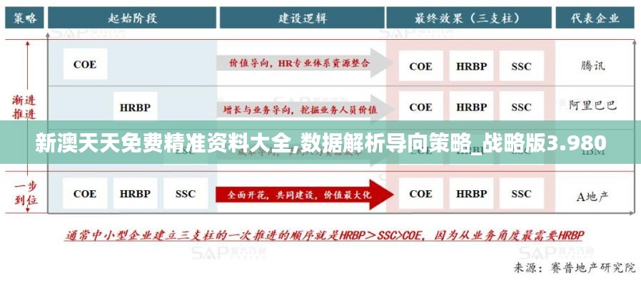 新澳天天免费精准资料大全,数据解析导向策略_战略版3.980